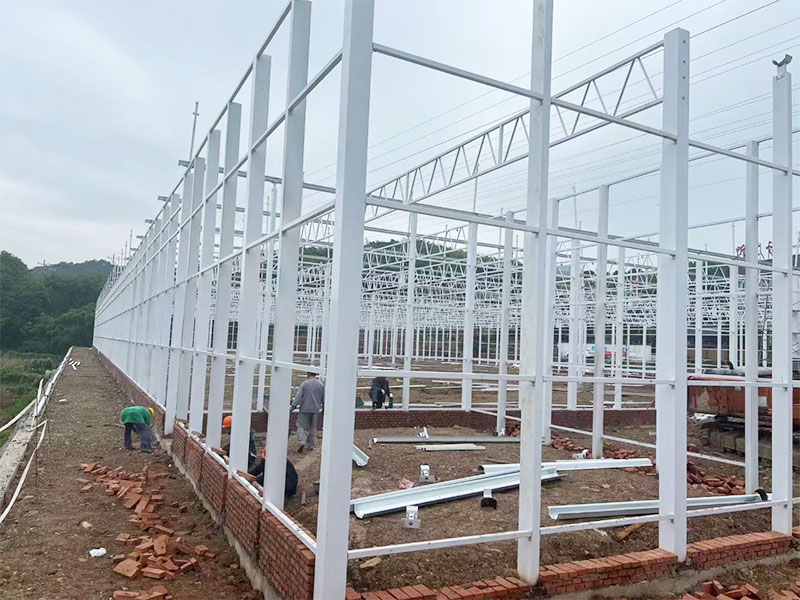 客戶案例現(xiàn)場