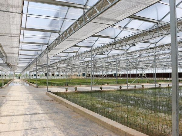 溫室工程的建設(shè)需要注意什么