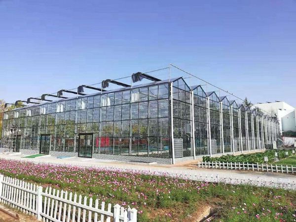 玻璃溫室大棚的優(yōu)點(diǎn)和特征