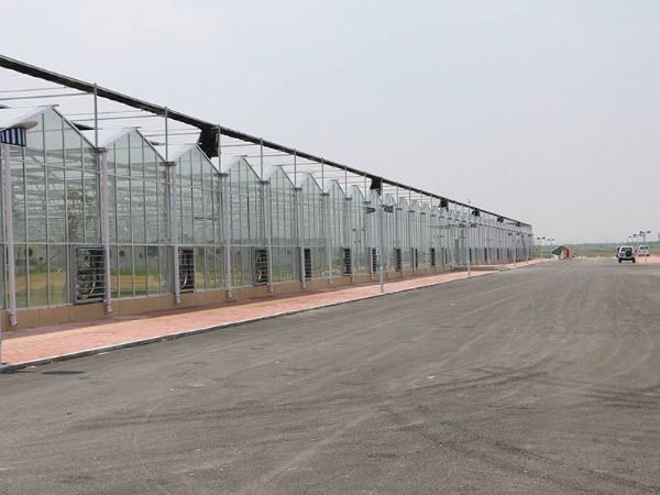 玻璃溫室大棚