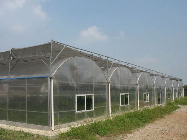 陽(yáng)光板溫室大棚