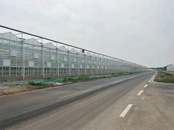 客戶案例現(xiàn)場