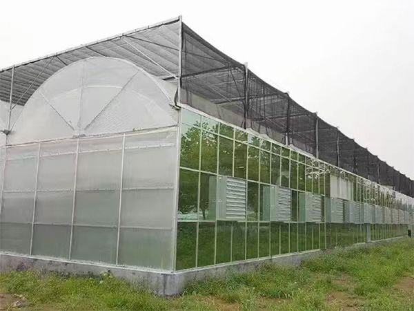 客戶案例現(xiàn)場