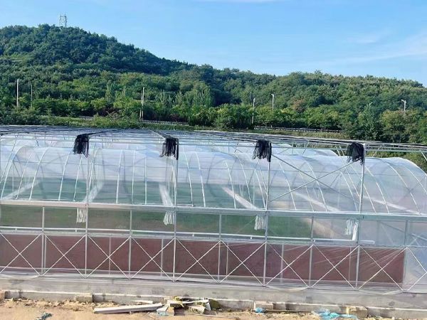 客戶案例現(xiàn)場