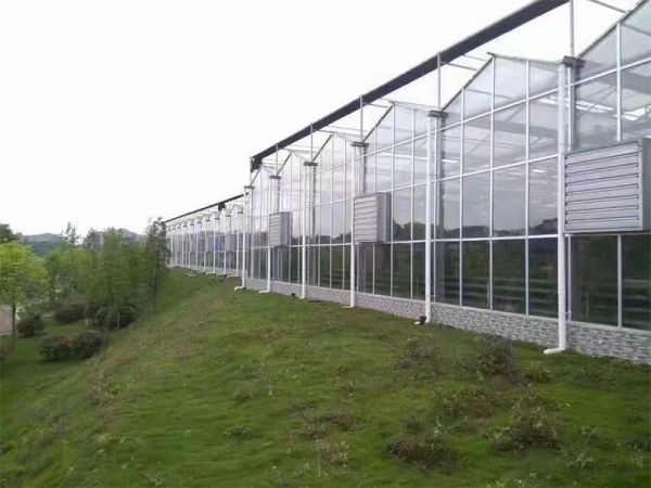 客戶案例現(xiàn)場