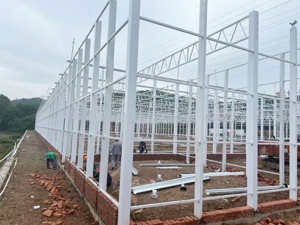 客戶案例現(xiàn)場